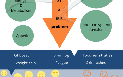 The Ins and Outs of Gut Health